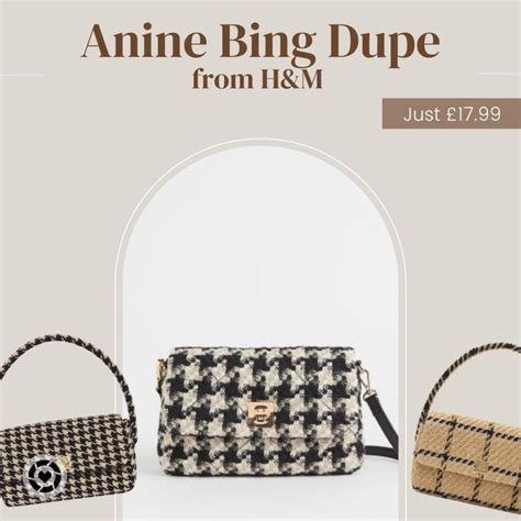 anine bing bag dupe